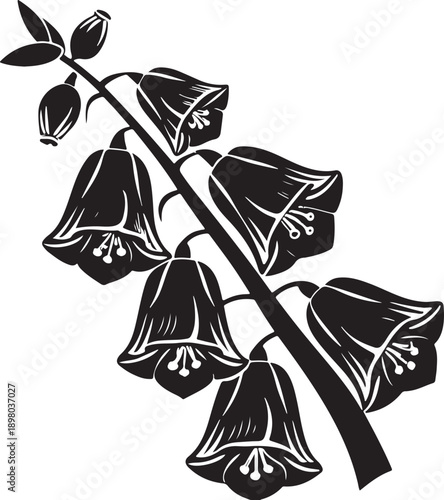 Black and White Illustration of a Bell Flower Spike with Multiple Blooms and Buds isolated white background