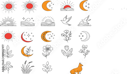 Hand drawn celestial and nature icon set with sun, moon, stars, birds, flowers and fox in modern boho line art style