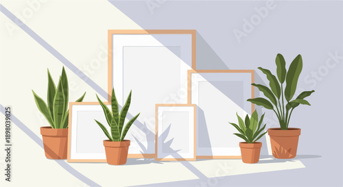 Potted plants and empty picture frames arranged with sunbeam shadows
