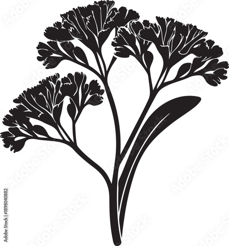 Bold Black Silhouette of a Clustered Flowering Plant with a Large Leaf for Graphic Design isolated white background