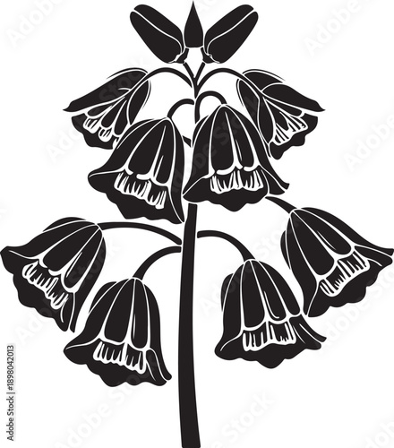Elaborate Black and White Silhouette of a Dense Flower Spike with Bell-Shaped Blossoms isolated white background