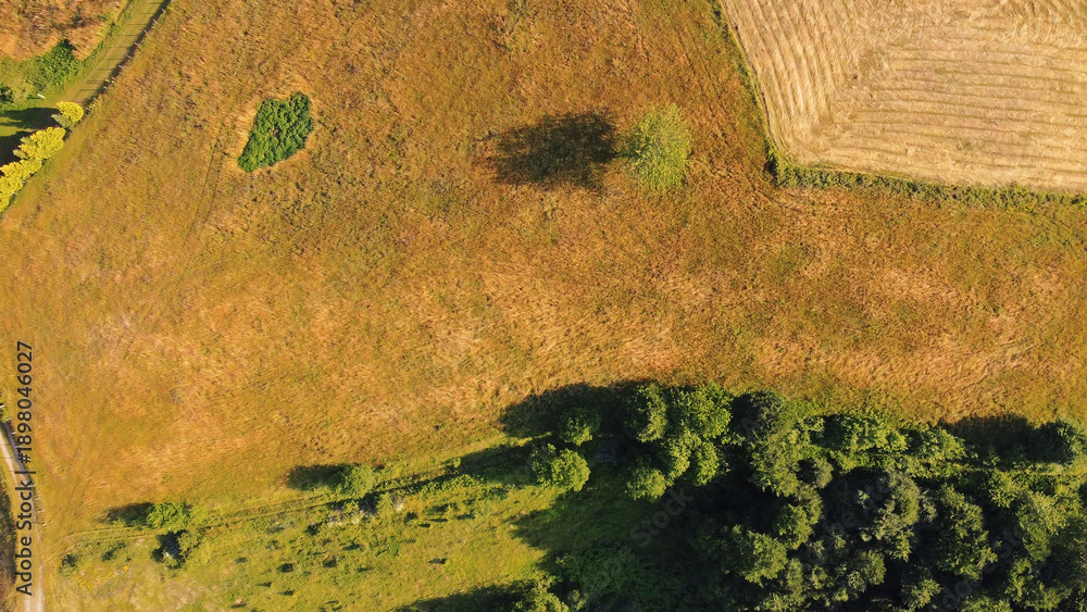 Obraz premium Tranquil sunny summer landscape with green fields and hills.