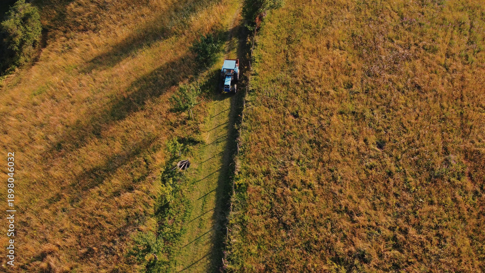 Obraz premium Tranquil sunny summer landscape with green fields and hills.