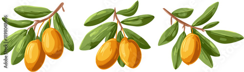 
3 sets of cute cartoon illustrations of dates on a white background, with green leaves, simple and flat design, vector art, clipart