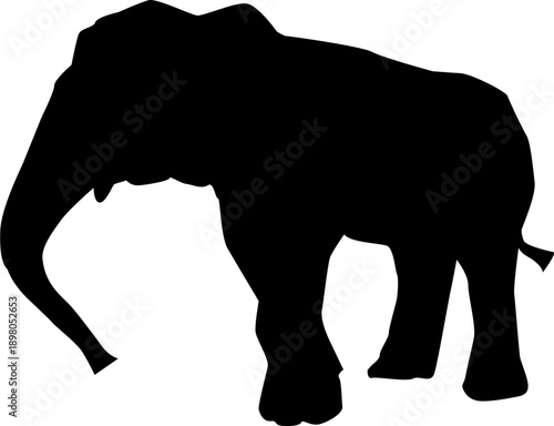 silhouette of elephant