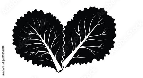 Black and white illustration of two kale leaves forming a heart shape
