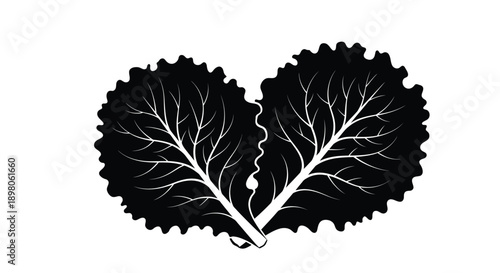 Black and white illustration of two kale leaves forming a heart shape