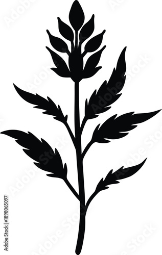 Silhouette of a plant with leaves and stem on white background