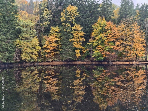 Fotografie reflected trees create peaceful symmetry, calm water mirrors vibrant autumn and