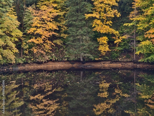 Obraz na plátně rich hues along riverbanks, serene landscape capturing seasonal coloration and p