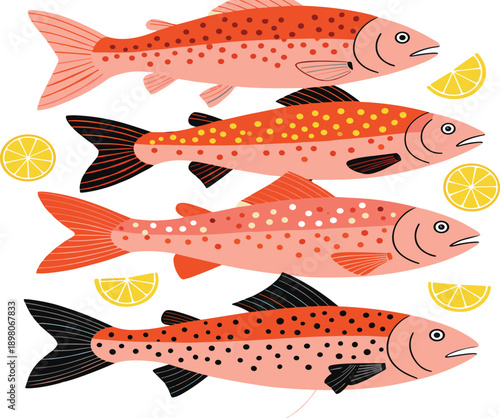 Colorful salmon fish collection with lemon slices in flat vector style isolated on white background for seafood illustration