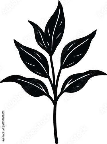Silhouette of a plant with multiple leaves on a stem silhouette
