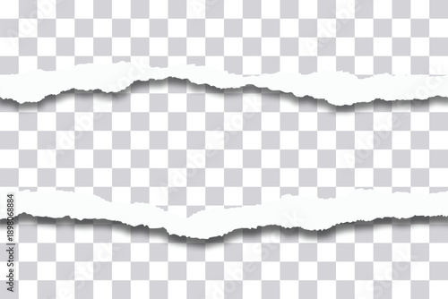 Horizontal torn paper reveal edges with shadow on transparent background vector