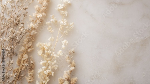 Neutral beige marble background with dried flowers and soft natural copy space.