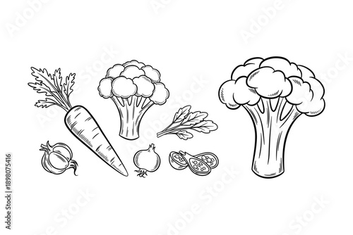 Hand drawn vegetables sketch with carrot, broccoli, and onion