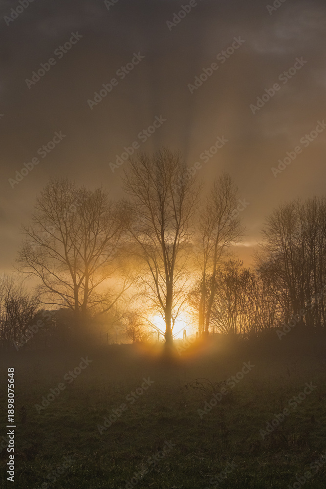 Fototapeta premium Morning sun
