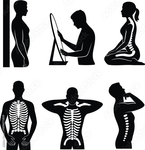 Human body silhouettes with skeletal system visible
