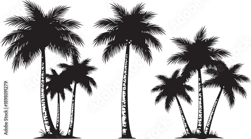 A serene tropical scene featuring four palm trees against a transparent background isolated on white background, Vector