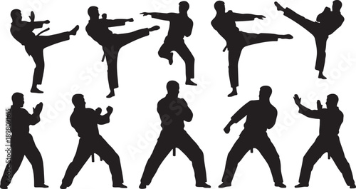 Silhouettes of martial artists demonstrating various fighting techniques and stances isolated on white background, Vector