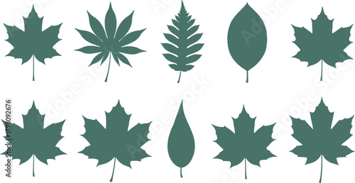Collection of green leaf silhouettes including maple, oak, and fern, botanical forest foliage set for nature icons, organic branding, and autumn season design