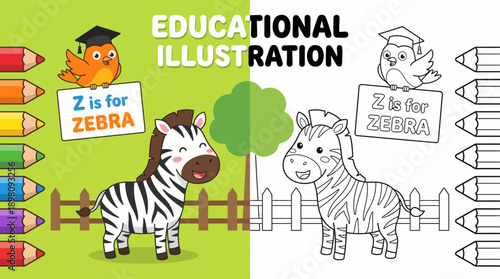 Letter Z Alphabet Learning: Cute Cartoon Zebra Illustration and Coloring Page Template with Graduation Bird.