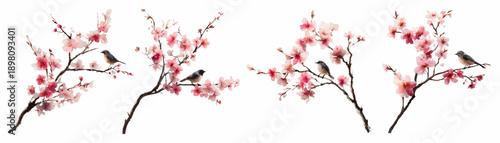 Watercolor spring birds on blooming sakura branches with pink flowers. Delicate floral set featuring sparrows, cherry blossoms, and botanical elements in soft pastel tones. Vector illustration.