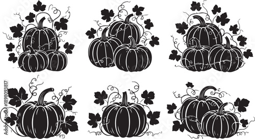Six black and white pumpkin illustrations with leaves and vines in a row isolated on white background, Vector