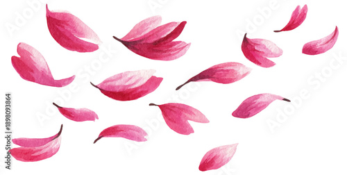 Watercolor pink petals flying in spring air, delicate floral pattern with cherry blossoms and sakura flowers creating romantic atmosphere for wedding templates and designs. Vector illustration.