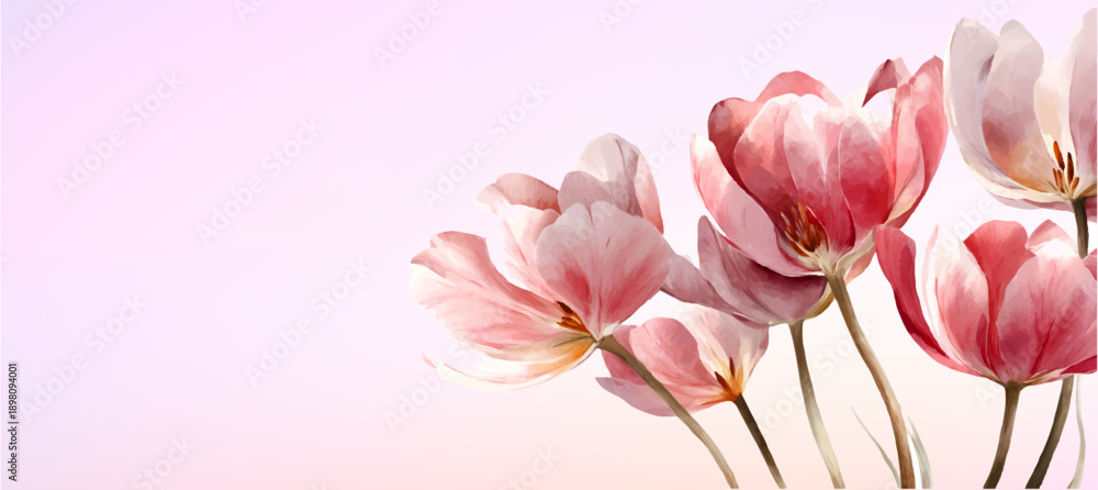 Naklejka premium Watercolor tulip bouquet with soft pink petals and spring flowers creates elegant floral border design for posters, banners, and botanical illustration projects. Vector illustration.