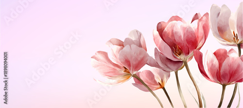 Watercolor tulip bouquet with soft pink petals and spring flowers creates elegant floral border design for posters, banners, and botanical illustration projects. Vector illustration.