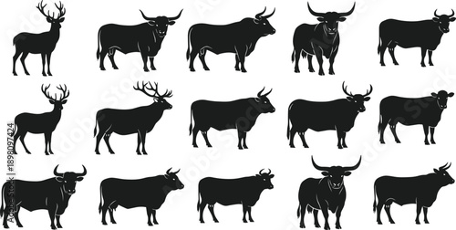 Online education and digital learning concept vector illustration, student studying on laptop with books, professional distance training for career development, academic success background.