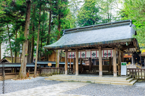 初夏の諏訪大社 上社 本宮　長野県諏訪市　Suwa Taisha Shrine in early summer. Kamisha. Main shrine. Nagano Pref, Suwa City.