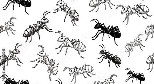 Dynamic Black and White Ant Illustrations Showcasing Nature's Tiny Workers in an Engaging Graphic Design Environment
