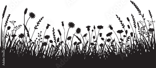 Horizontal meadow silhouette with various tall wild plants and field grasses vector illustration for designers