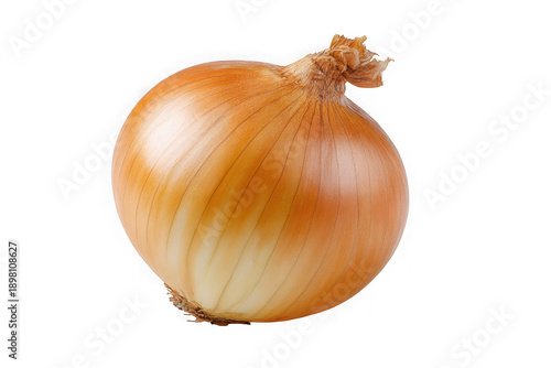 Wallpaper Mural Single yellow onion isolated on transparent background Torontodigital.ca