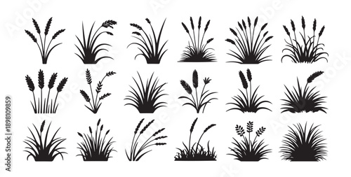Detailed marsh grass and reed silhouettes set for lake shore river bank and swamp scenery illustration design