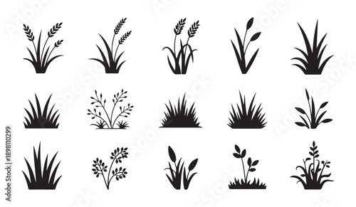 Grass and plant silhouettes, diverse vegetation icons set, nature field growth graphic isolated