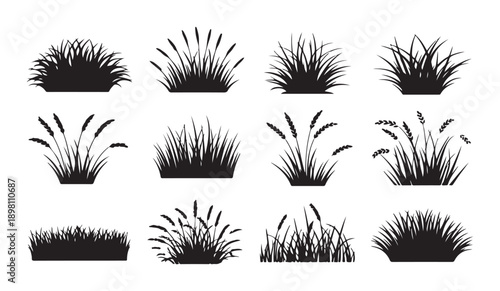 Abstract black silhouettes of grass, wheat ears, reeds and bushes perfect for nature themes