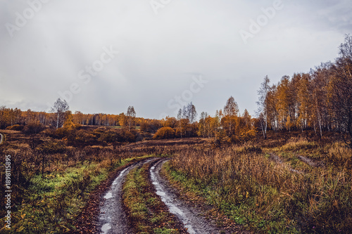 dirt road through forest after heavy rain