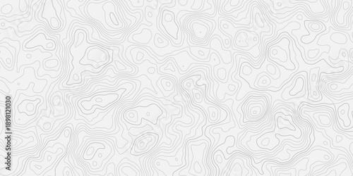 Highly Detailed Topography Map Featuring Smooth Flowing Contour Elevation Lines
Abstract Terrain Relief Illustration with Modern Geographic Mapping Grid