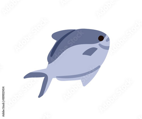 Pompano fish. Marine animal with fins. Fresh uncooked seafood. Trachinotus, healthy sea food. Atlantic ocean underwater fauna. Flat vector illustration isolated on white background
