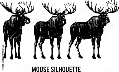 Set of three black moose silhouettes isolated on white background for North American wildlife themes, forest animal conservation, hunting graphics, and wilderness nature illustrations.