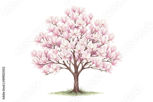pink tree isolated on white