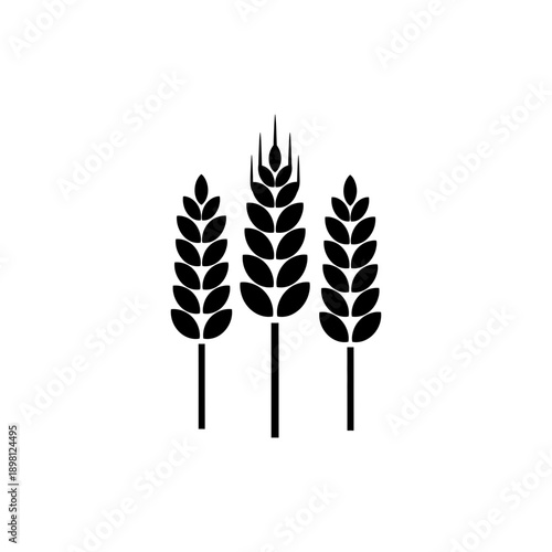 Wheat Grain Icon Agriculture Harvest Symbol