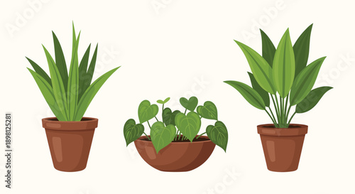 Bring the outdoors in with these charming potted plants, perfect for adding a touch of modern greenery to any space and creating a calming atmosphere