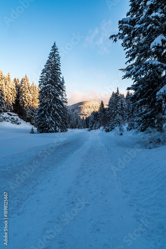 Freezing winter morning in winter mountains with snow covered road, trees, and clear sky