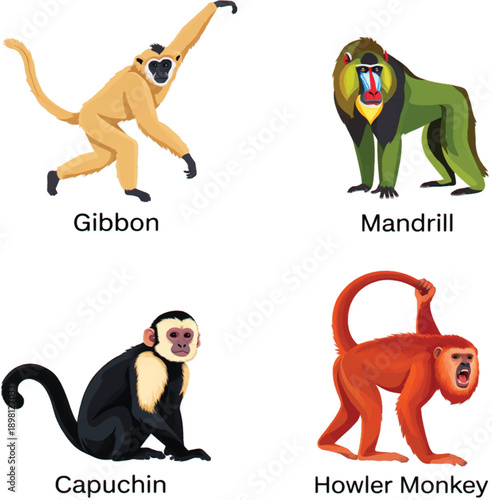 Modern Monkey Species Icon Pack: Clean Full-Body Illustrations of Capuchin and Howler Monkey
