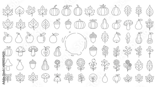 Set of many hand drawn autumn icons like leaves, pumpkins, fruits, nuts, and mushrooms in black outline on white.
