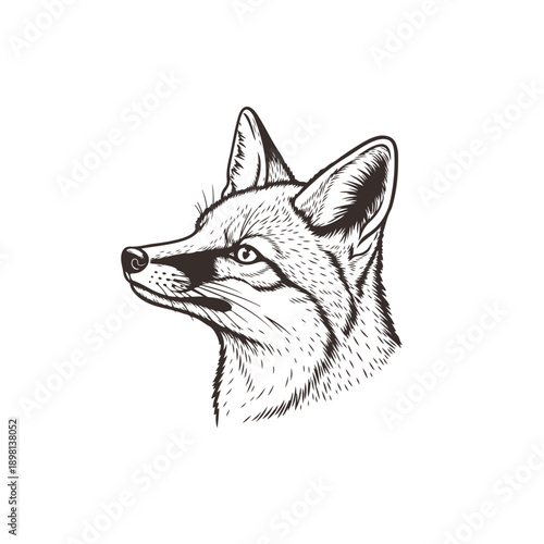 A placeholder image indicating a vector file format on a plain white background.