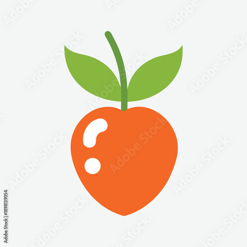 vector illustration of an apple
